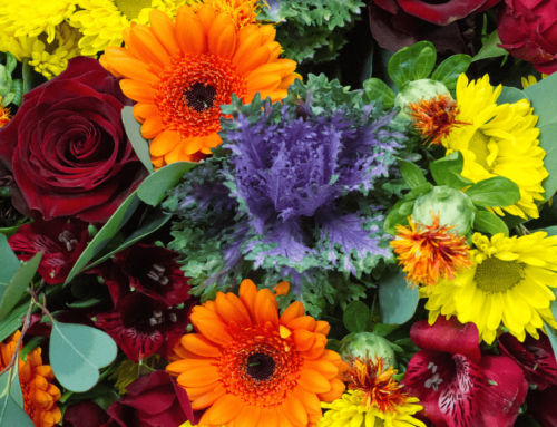 Thrifty Florist Offers Same Day Delivery to Basilica of Saint Anne