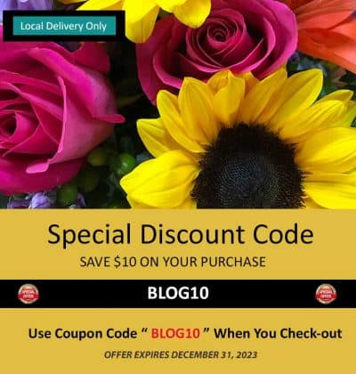 Special Discount Offer, Save $10 On Your Purchase