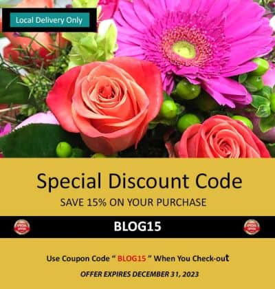 Coupon Code, Save 15% On Your Purchase