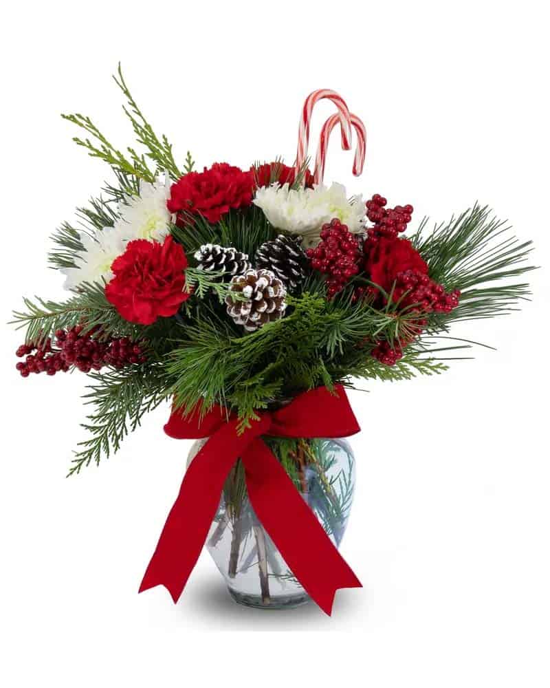 Christmas Flowers