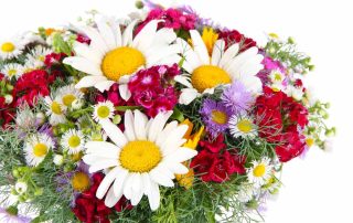 Thrifty Florist Offers Stunning Labor Day Flowers and Plants Same Day Delivery for Lincoln Park, MI