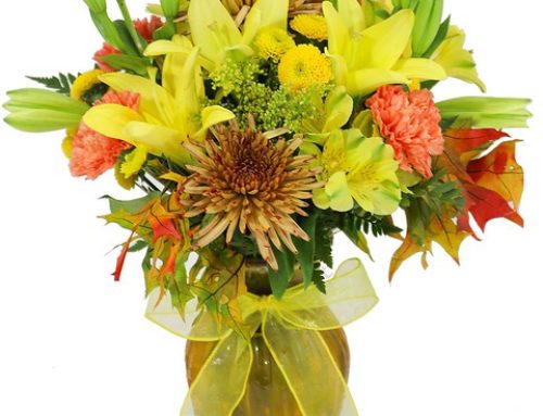 Autumn Flowers to Brighten Your Home and Heart