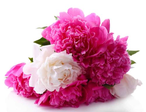 Thrifty Florist Proudly Provides Flower Delivery Services to the Karmanos Cancer Institute