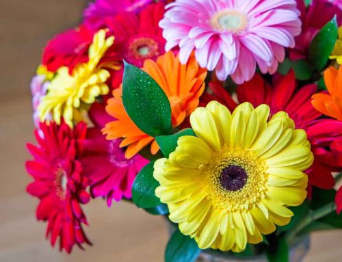 Thrifty Florist Offers Same Day Flower Delivery to Dearborn High School