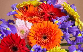 Thrifty Florist Offers Gorgeous Flowers for All Special Occasions