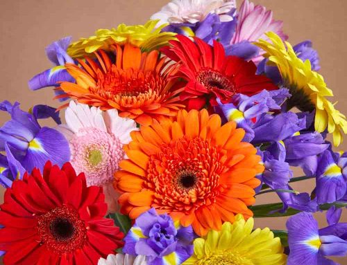 Birmingham Michigan Receives Same Day Flower Delivery from Thrifty Florist