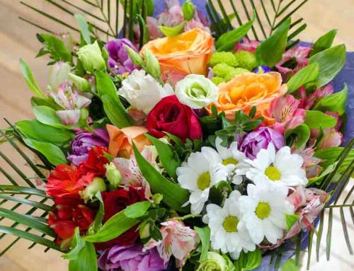 Thrifty Florist, a Well-Known and Cherished Floral Company, Proudly Offers Troy, Michigan Flower Delivery