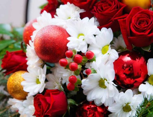 Thrifty Florist Provides Christmas and Hanukah Flowers for Lincoln Park Michigan Flower Delivery