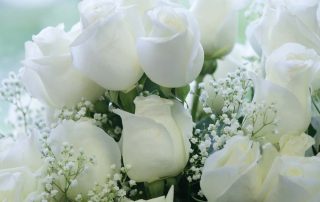 Thrifty Florist Offers White Roses for New Years