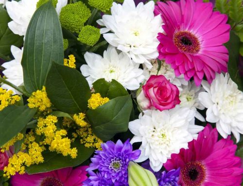 Sympathy Flowers Convey Comfort and Support During Difficult Times