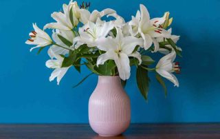 Lilies for Teacher Appreciation