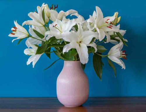 Teacher Thank you Flowers offer Gratitude and Are Meaningful