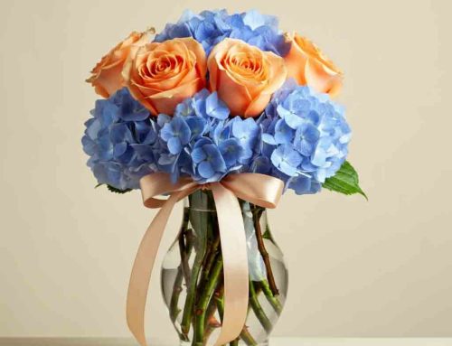 Summer Flower Arrangements Bring Joy to Any Space